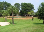 IMG_4193 IMG_4193