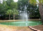 IMG_4331 IMG_4331